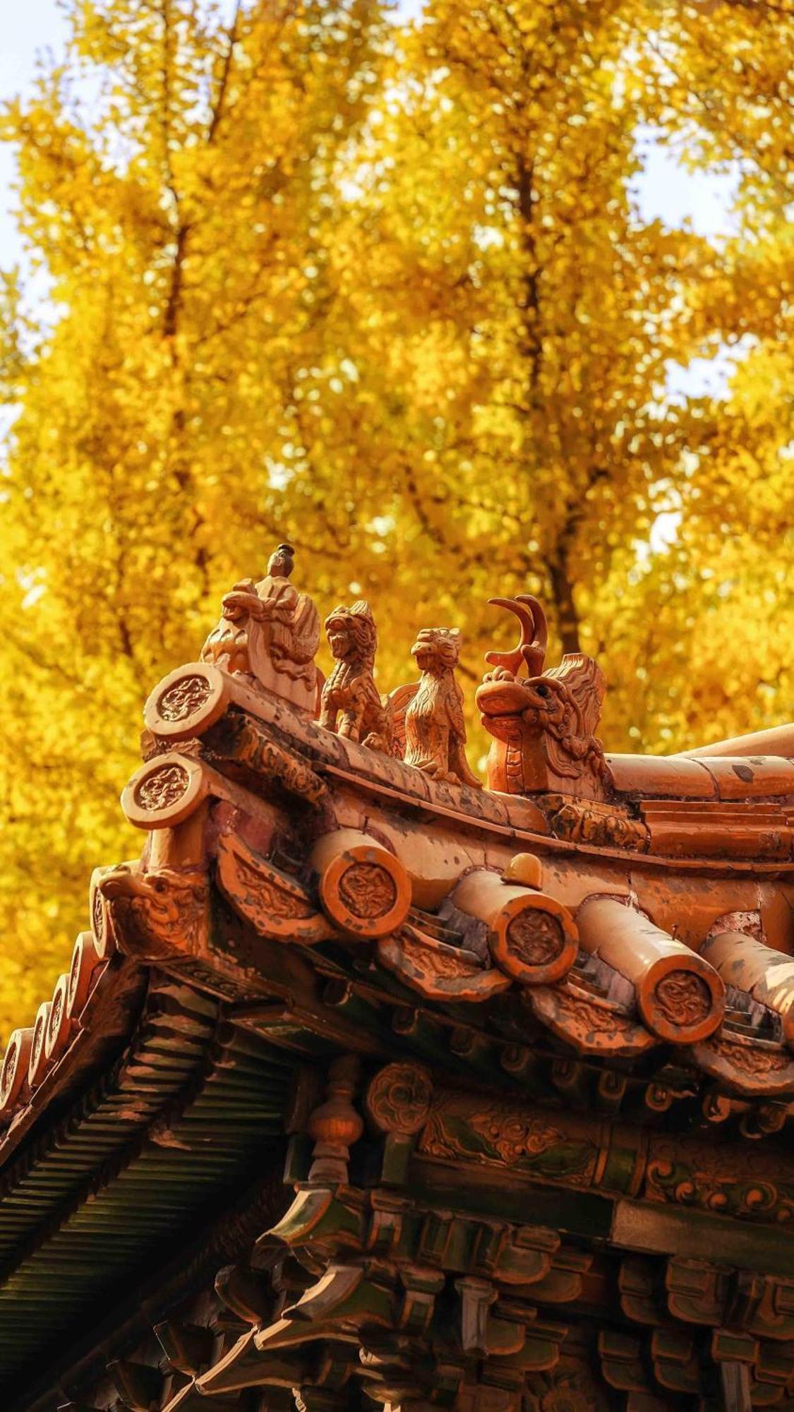 East Sacred Hotel--Very Near Beijing Tiananmen Square ,The Forbidden City,The Temple Of Heaven ,3 Minutes' Walk To Wangfujing Subway ,Located In The Center Of Beijing, Many Shopping Malls Around,Newly Renovated Hotel-Able To Receive Foreign Guests Exterior foto The roof of the temple